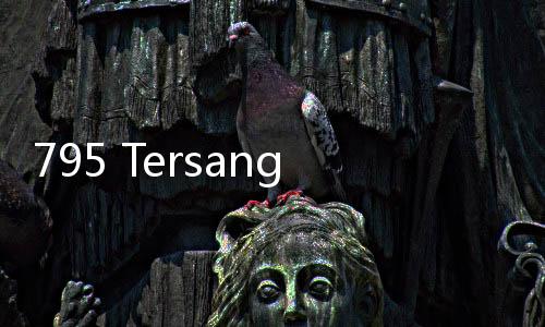 795 Tersangka Kasus TPPO Ditangkap, 2.093 Korban Berhasil Diselamatkan