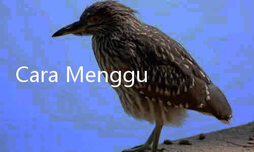 Cara Menggunakan Air Cucian Beras untuk Tanaman Tumbuh Subur