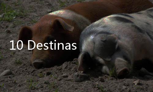 10 Destinasi Wisata Thailand Favorit Turis versi Tripadvisor
